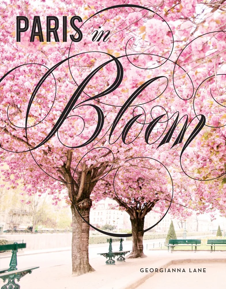 Cover of the book Paris in Bloom