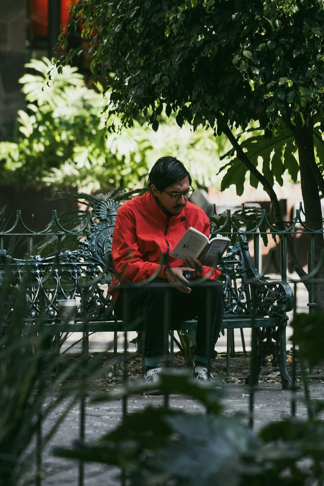 man reading on a bench in mexico city