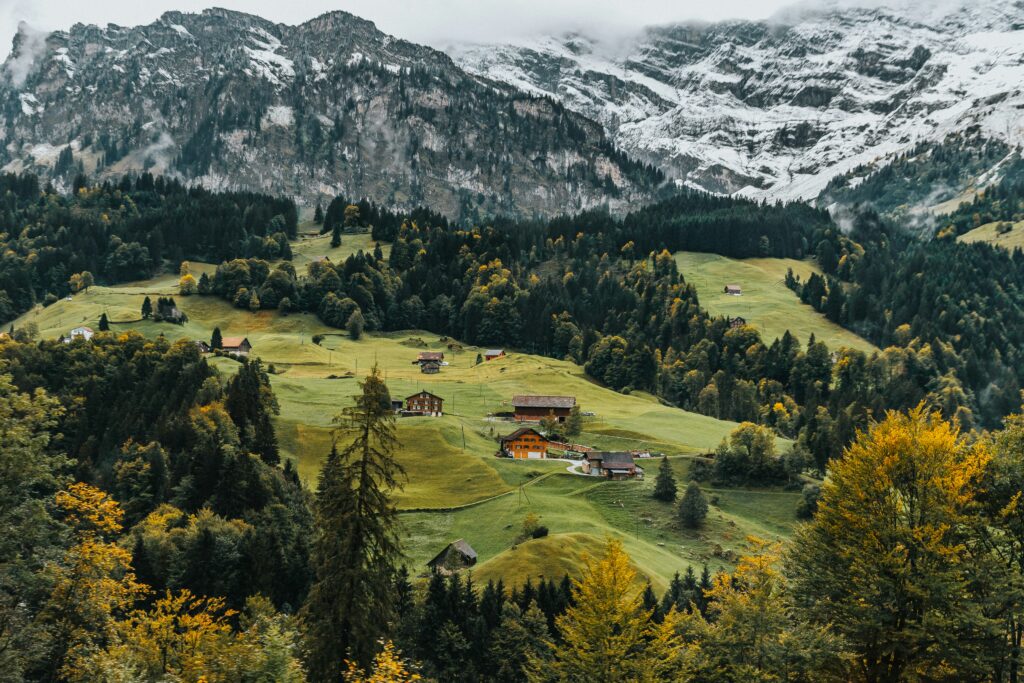 chalets on the green foothills with green and yellow trees in front of snow-capped mountains